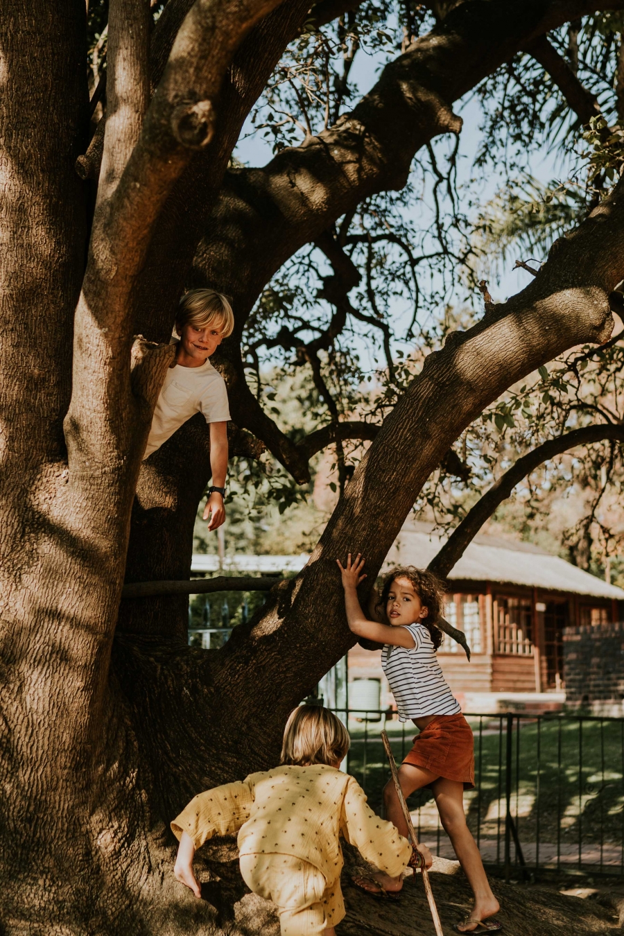 FIH Fotografie » Zuid Afrika